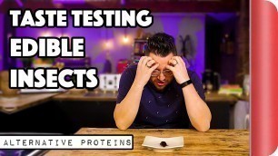 'Taste Testing Edible Bugs & Insects | Alternative Proteins'