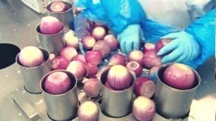 'How It\'s Made, Onions (Gills\' Onions).| Modern Food Processing Machines That Are At Another Level'