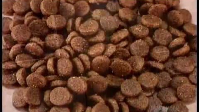 'How It\'s Made - Dog and Cat Food - Season 3'