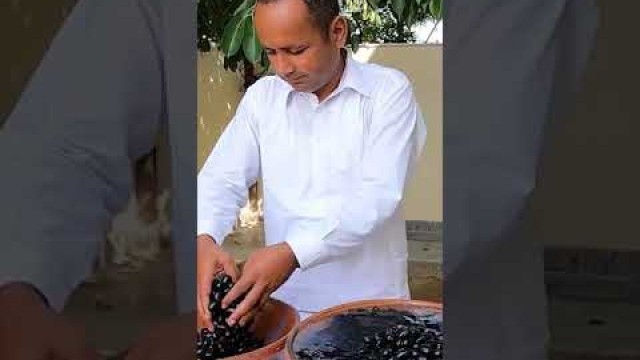 'Black Plum Smoothie Recipe | Mubashir Saddique Shorts | Village Food Secrets Shorts | #Shorts'