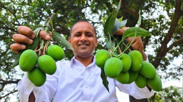 'Aam Ka Achar Recipe | Instant Mango Pickle Recipe | Mubashir Saddique | Village Food Secrets'