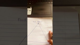 'Drawing a food pyramid'