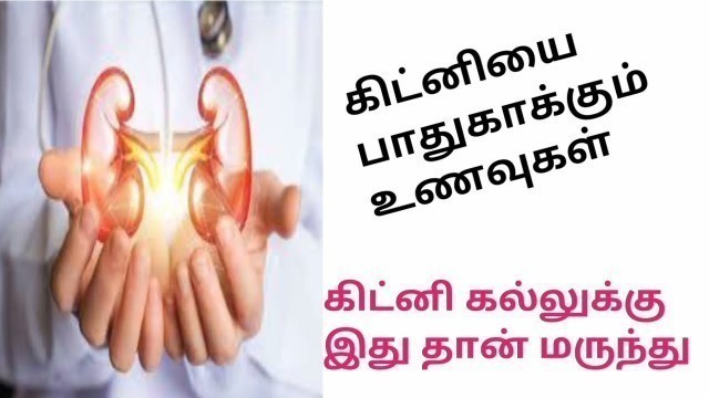 'kidney பாதுகாக்கும் உணவுகள் |kidney stone remove tips in tamil'