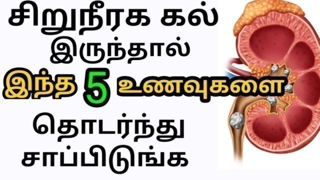 'சிறுநீரக கற்களை கரைக்கும் சூப்பர் உணவுகள்| kidney stone food to eat in tamil|siruneeraga kal karaiya'