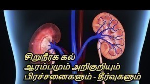 'How to Prevent Kidney Stones in Tamil | Urinary Problems - Kidney Stone Diet| Healthy Life - Tamil.'