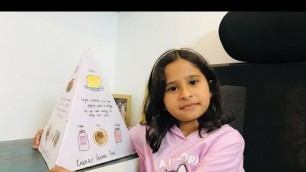 'EVS Project for class 2 | Healthy Food Pyramid | Anaya Rizvi | @Rizvi Officials'