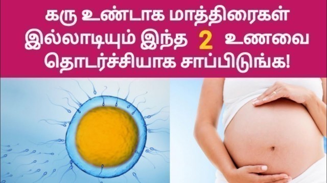 'two best foods for fertility in tamil | fast pregnancy tips in tamil food | pregnant fast tips tamil'