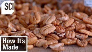 'How Pecans Are Manufactured | How It’s Made'