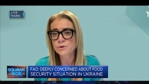 'Ukraine crisis shows need for alternative food sources, argues Ynsect CFO'