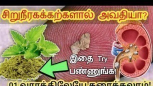 'சிறுநீரக கற்களால் அவதியா | Kidney stone treatment in Tamil | kidney stones tamil Treatment'