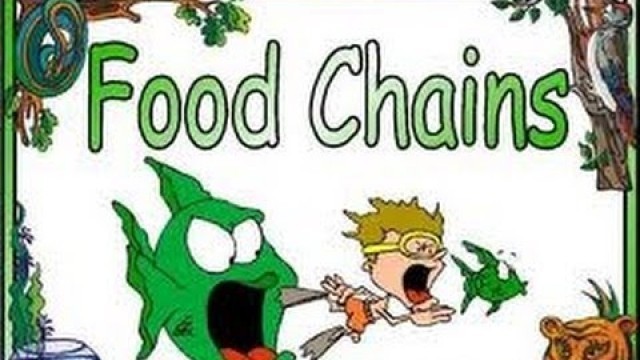 'Food Chains ,Food Webs,Energy Pyramid in Ecosystems-Video for Kids'