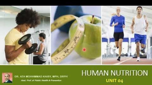 'Human Nutrition | Unit 04 | Food Pyramid'