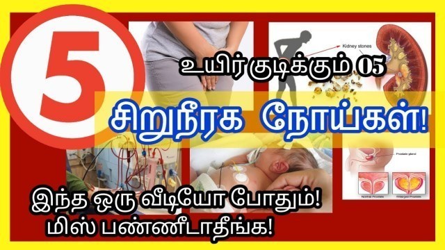 'kidney disease in tamil/Kidney failure tamil/Urine infection tamil /Kidney stone tamil/urine test'