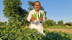 'Bhindi Do Pyaza Recipe by Mubashir Saddique | Village Food Secrets'