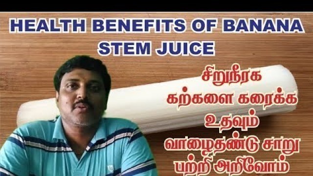 'Home Remedies for Kidney Stones in tamil | banana stem | சிறுநீரக கல்லை கரைக்க உதவும் வாழைதண்டு சாறு'