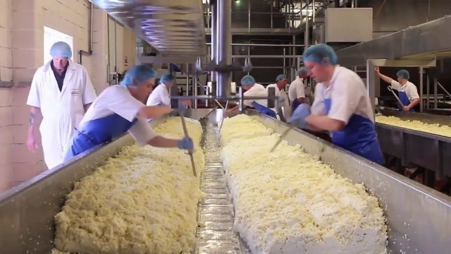 'Cheese-How It’s Made \'\'Inside Food Factory\'\' ( Peynir Fabrikası )'