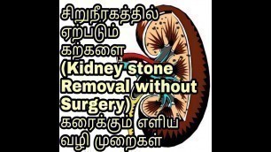 'kidney stone Symptoms, Home Remedy and diet Plan in Tamil /#Rainbowtalk'