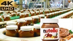 'How Nutella Is Made In Factory | How it\'s Made Nutella - Food Factory - Crazy Processing'