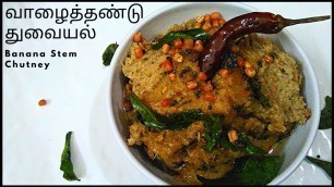 'Vazhaithandu Thuvayal | Banana Stem Chutney Recipe in Tamil | Remedy for Kidney Stone | Thuvaiyal'