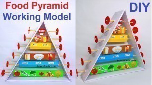 'food pyramid working model for class 9 and class 10th | TLM | howtofunda @craftpiller'