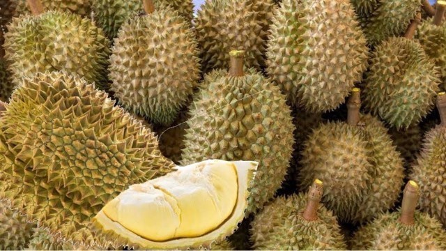 'KNIFE SKILLS - Lady Durian Cutting Skills - Street Food Thailand | Cutting Durian Shows'