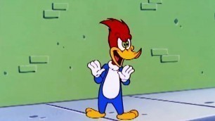 'The Chief\'s Food | Woody Woodpecker | Cartoons for Kids | WildBrain - Kids TV Shows Full Episodes'