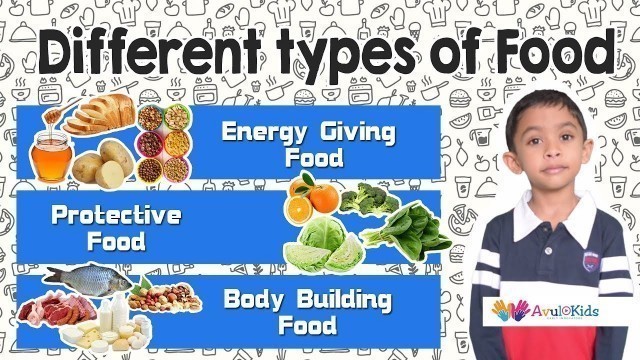 'Types of Food | Kids educational videos | Science for Grade 2 | Food Pyramid'