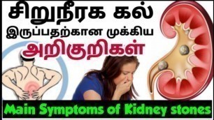 'kidney stone Symptoms in tamil| சிறுநீரக கல் அறிகுறிகள்| Symptoms of Kidney stone tamil| home remedy'