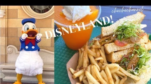 'A Day at Disneyland! NEW FOOD & MERCH, shows, rides, & more!'