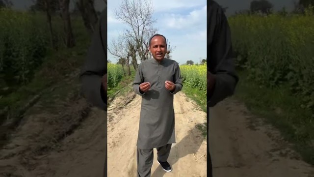 'Village Life In Punjab | Mubashir Saddique Shorts | Village Food Secrets Shorts | #shorts'