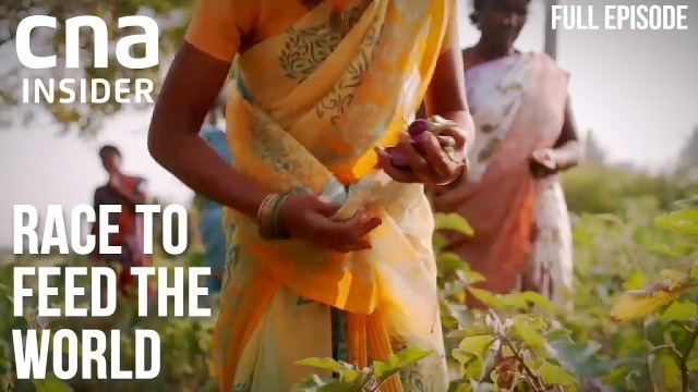 'Land Matters: Unlocking Asia\'s Food Security Issue | Race To Feed The World | Part 1/3'