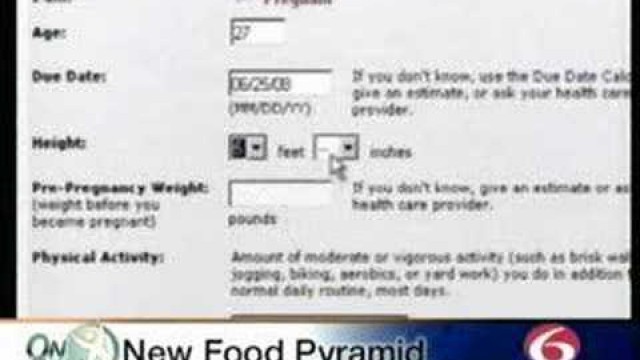 'Food Pyramid Shows Special Needs For Pregnancy'