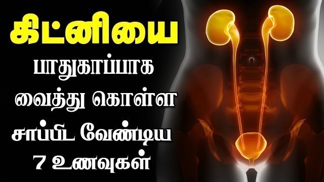 'கிட்னியை பாதுகாக்கும் 7 உணவுகள் | Top 7 Good Foods for Kidney | Best Kidney Foods Tamil'