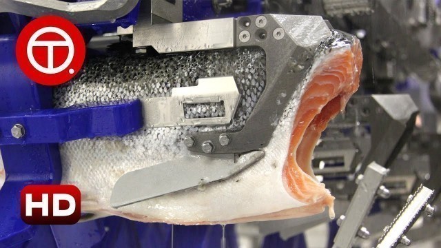 'How Salmon Fillet Are Made in Factory | How It\'s Made ▶01'