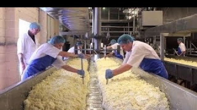 'How It’s Made Cheese | Inside Food Factory | Amazing Food Processing'