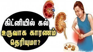 'Foods That Can Cause Kidney Stone - Tamil Health Tips'