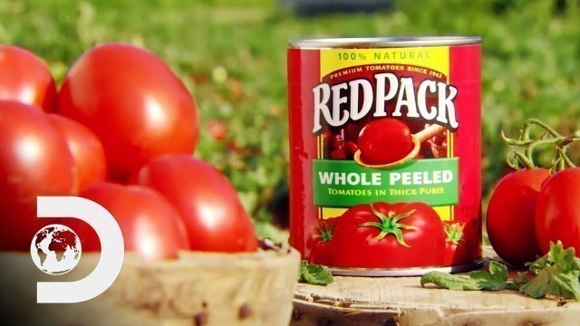 'CANNED TOMATOES | How It\'s Made'