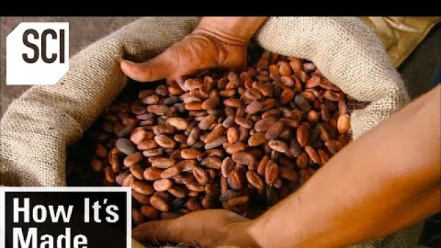 'How It\'s Made: Cocoa Beans'