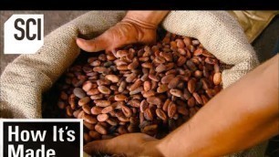 'How It\'s Made: Cocoa Beans'