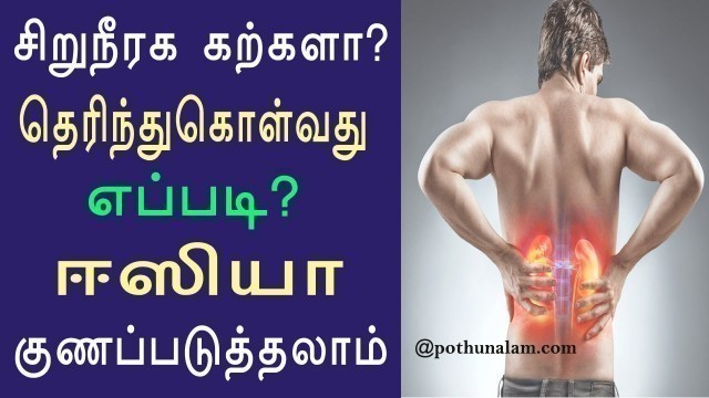 'சிறுநீரக கற்களா? தெரிந்து கொள்வது எப்படி? Kidney Stone Treatment in Tamil without Surgery'