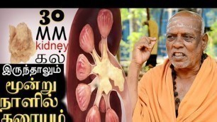 'முப்பது MM கிட்னி கல் இருந்தாலும் மூன்றே நாளில் கரையும் || KIDNEY STONE IN TAMIL || KAYAKALLPAM TV'