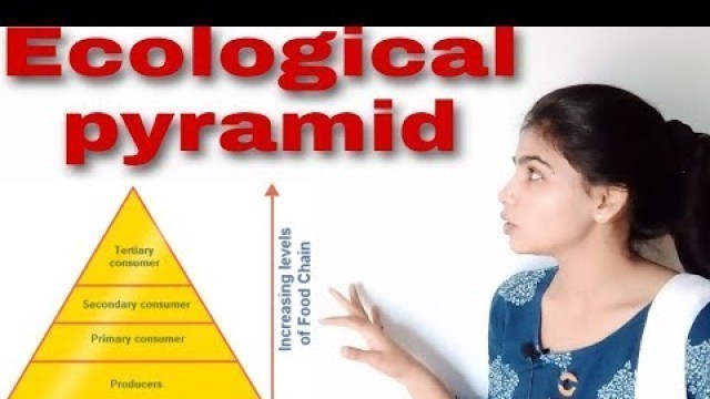 'Ecological pyramid , B.Sc III paper III unit II'