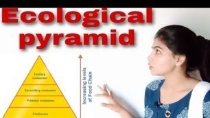 'Ecological pyramid , B.Sc III paper III unit II'