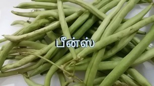 'கிட்னி ஸ்டோன் அடிக்கடி வருகிறது \'இயற்க்கை மருத்துவம்\' | Kidney Stone Natural Treatments in Tamil'