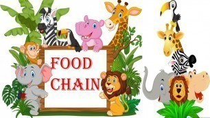 'FOOD CHAIN || FOOD WEB || ENERGY PYRAMID || SCIENCE EDUCATIONAL VIDEOS FOR KIDS'