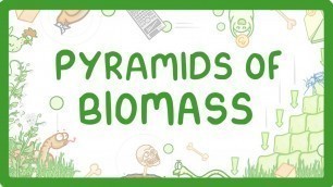 'GCSE Biology - Pyramids of Biomass #87'