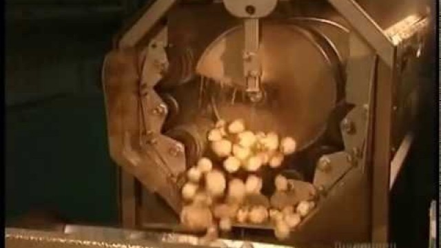 'How It\'s Made - Potato Chips'