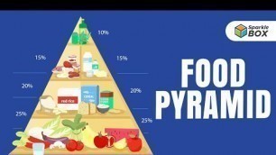 'Food Pyramid | Grade 4 Science Experiment | Sparklebox'