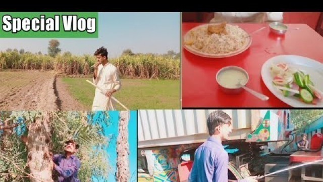 'Special Biryani Vlog by Zain ul Abiden || Village Food Secrets| Vip VLog'