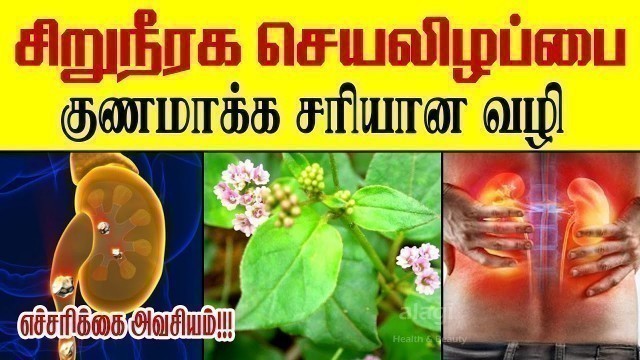 'சிறுநீரக செயலிழப்பு குணமாக சரியான வழி |Treatment of Kidney Failure | Kidney Disease | Home Remedies'